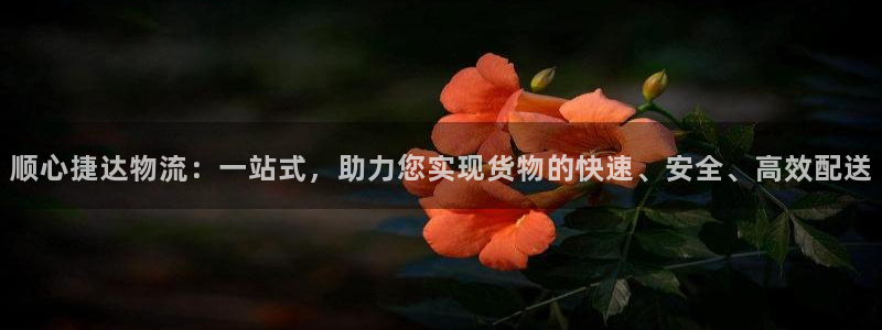 28圈黑不黑：顺心捷达物流：一站式，