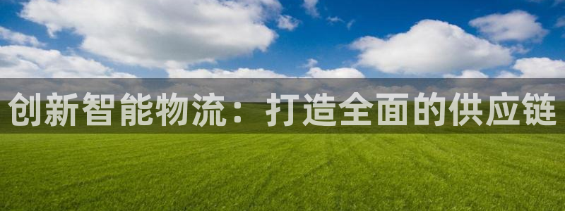 28圈登录网：创新智能物流：打造全面