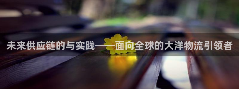 28圈加拿大走势：未来供应链的与实践