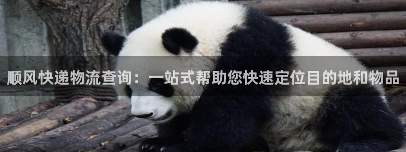 28圈链接是什么：顺风快递物流查询：