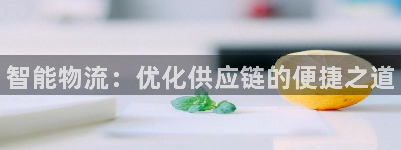 28圈如何退款：智能物流：优化供应链