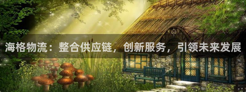 28圈游戏官网入口：海格物流：整合供