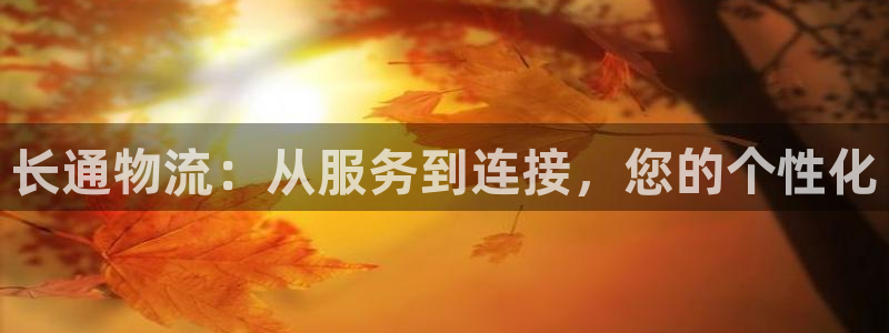 28圈登录流程：长通物流：从服务到连