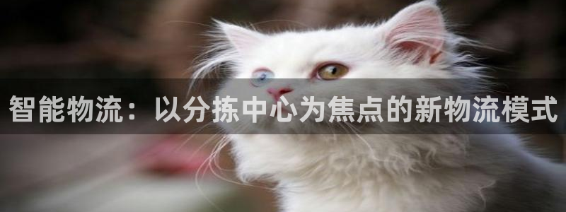 28圈官网开奖结果预测