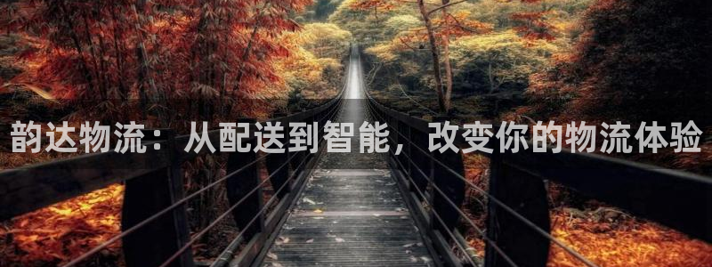 28圈充值不到账：韵达物流：从配送到