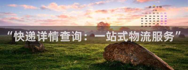 28圈下载体育：“快递详情查询：一站式物流服务”