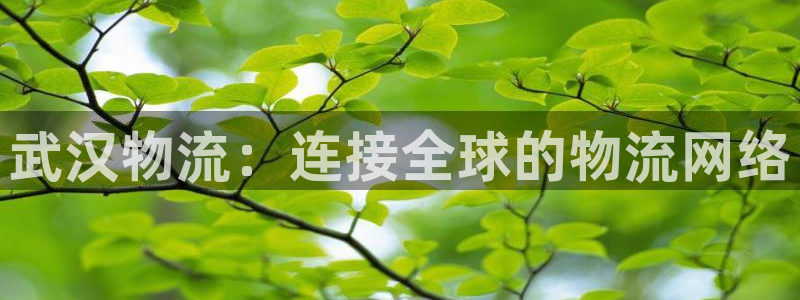 28圈官网下载链接是什么网站