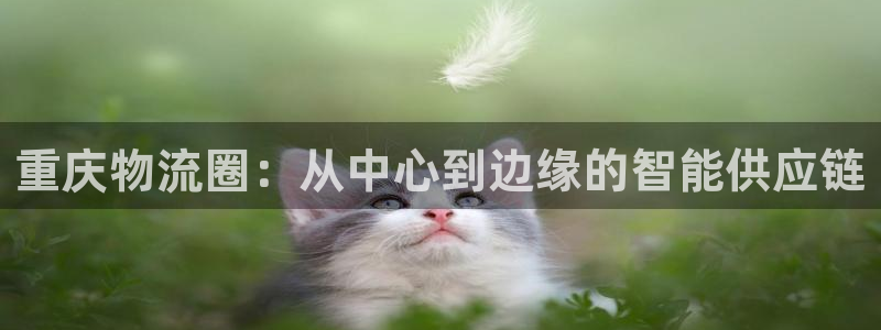 28圈是南宫旗下的吗：重庆物流圈：从