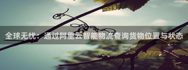 28圈官网版所有版本：全球无忧：通过