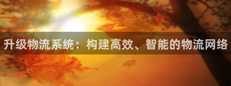 28圈.ccm2024：升级物流系统