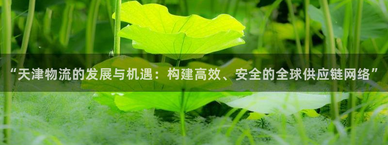 28圈怎么注册账号和密码：“天津物流的发展与机遇：构建高效、