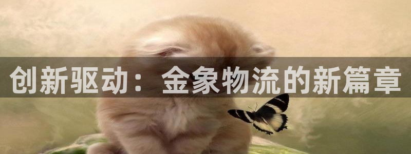 28圈加拿大走势：创新驱动：金象物流