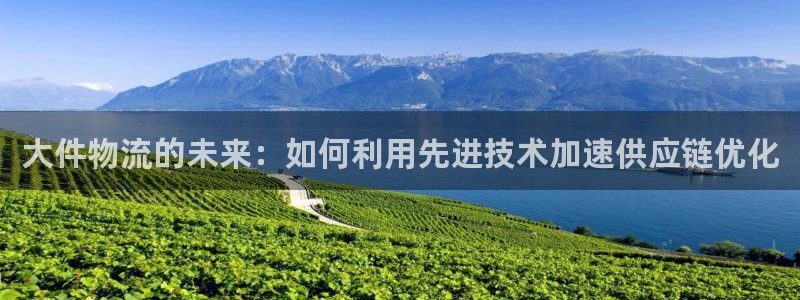 28圈官网开奖结果预测查询：大件物流