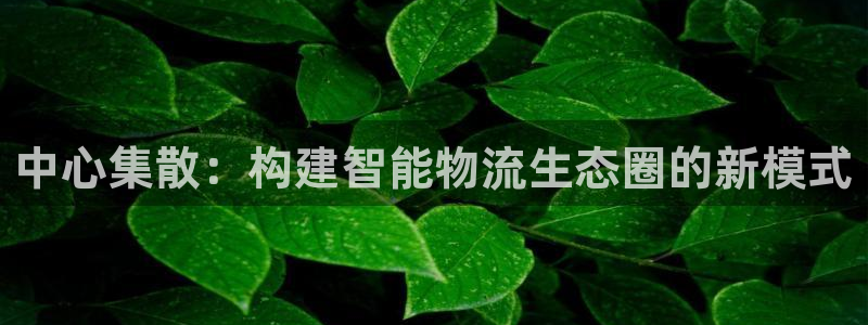 28圈aPP退款