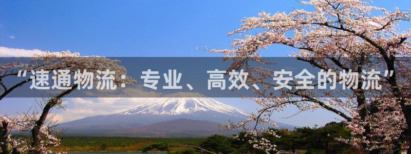 28圈注册问一问：“速通物流：专业、