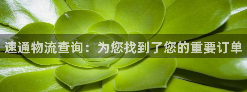 28圈登录网：速通物流查询：为您找到
