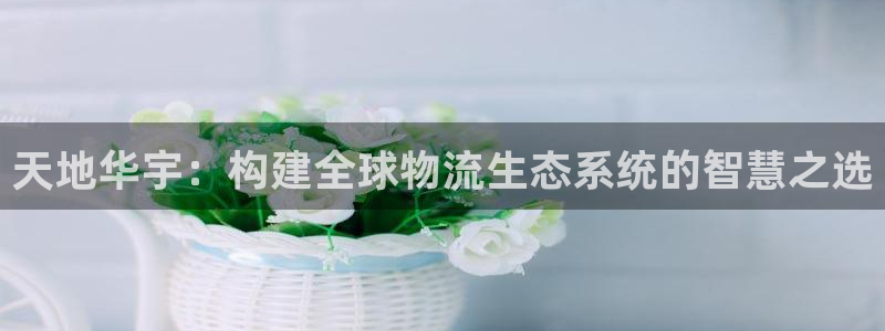 28圈p扣款什么意思：天地华宇：构建