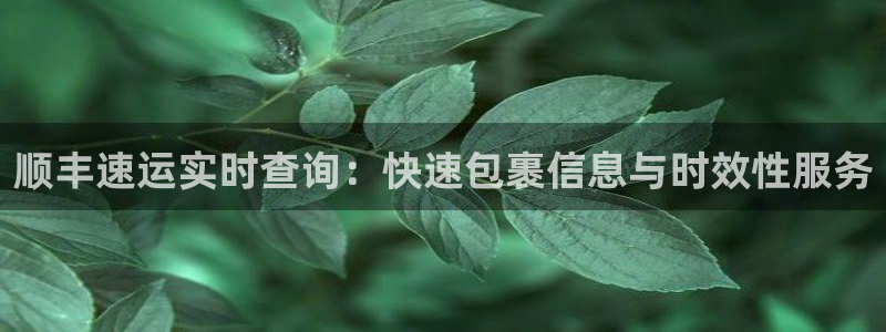 28圈娱乐官网网页下载：顺丰速运实时