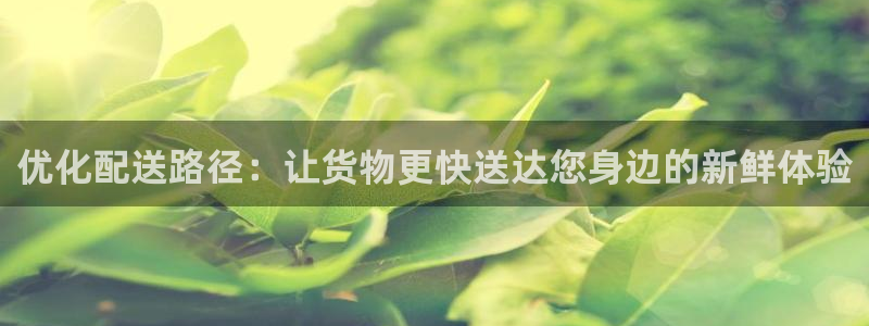 28圈龙虎