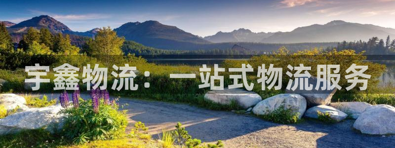 28圈登录不上咋回事：宇鑫物流：一站