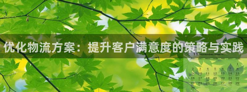 28圈官网网站