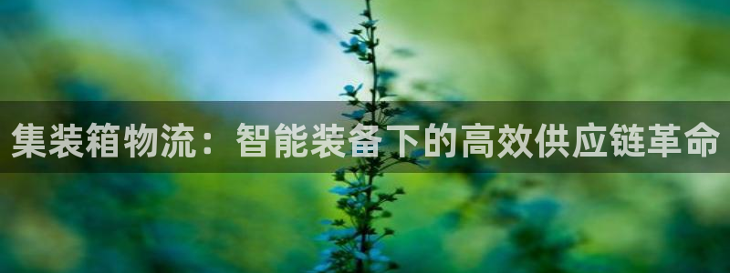 28圈注册官网：集装箱物流：智能装备