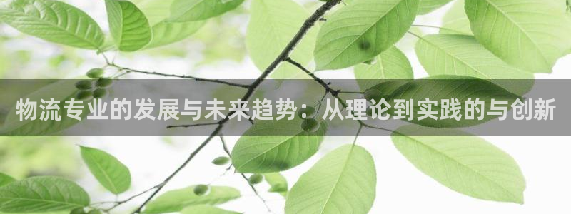 28圈加拿大2.8预测在线预测