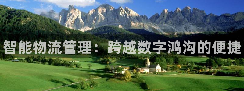 28圈旗下：智能物流管理：跨越数字鸿沟的便捷