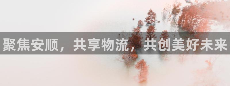 28圈开奖预测：聚焦安顺，共享物流，共创美好未来