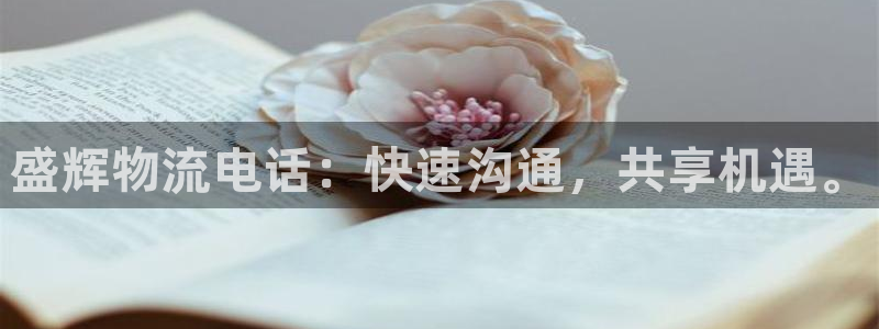28圈登录用户名登录不上：盛辉物流电