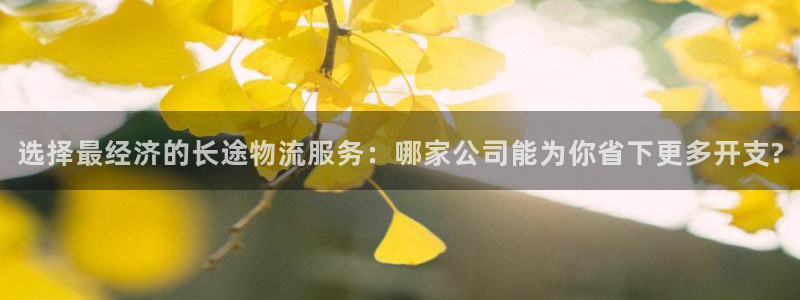 28圈怎么下载：选择最经济的长途物流