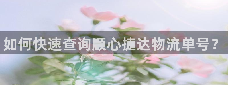 28圈头像：如何快速查询顺心捷达物流