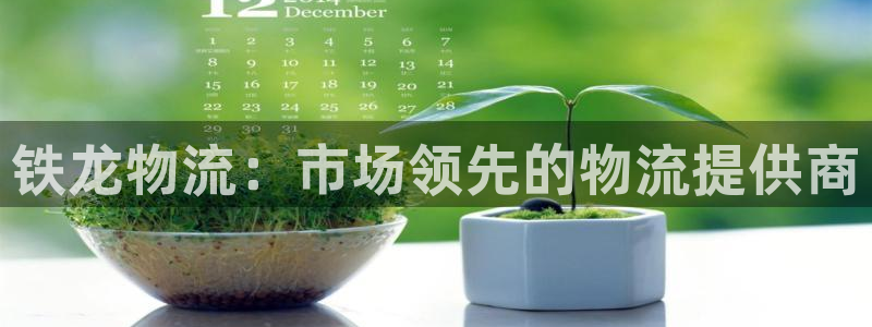 28圈链接是什么：铁龙物流：市场领先