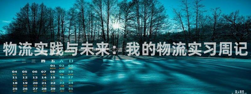 28圈注册上限是啥意思：物流实践与未