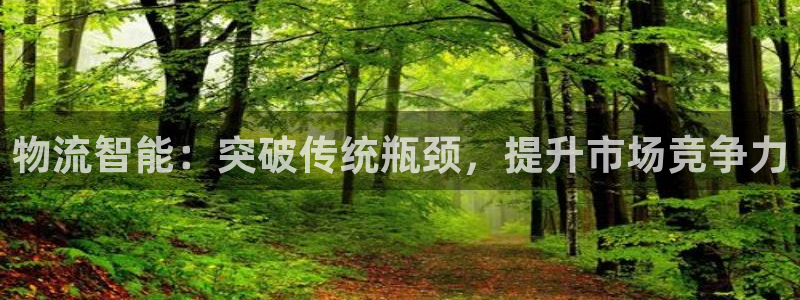 28圈正规吗?