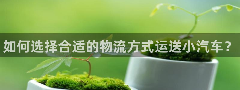 28圈.ccm2024：如何选择合适