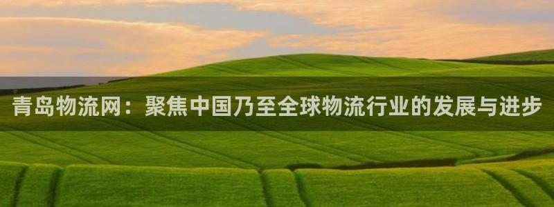 28圈模拟：青岛物流网：聚焦中国乃至