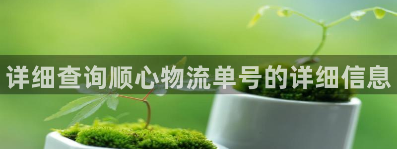 28圈如何注销账号