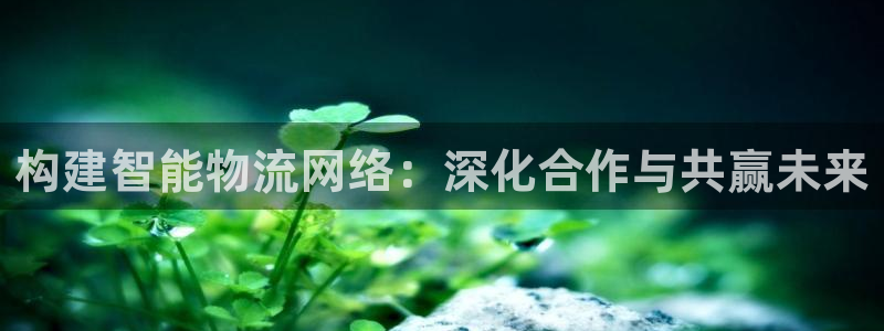 28圈代理落网
