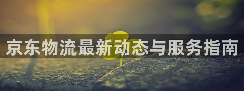 28圈是正规平台吗：京东物流最新动态