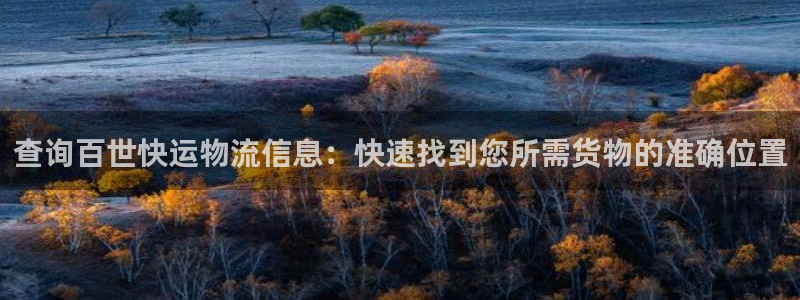 28圈入口问一问：查询百世快运物流信