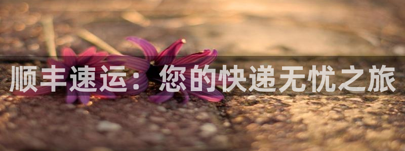 28圈注册上限是啥意思：顺丰速运：您