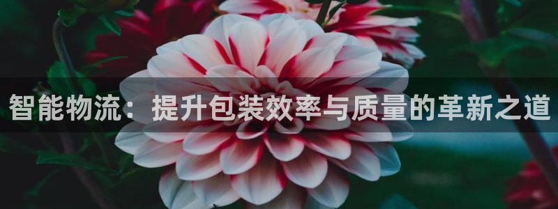 28圈注册链接：智能物流：提升包装效