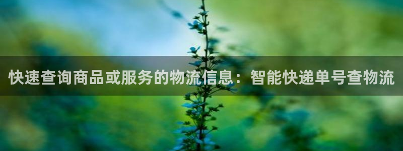 28圈加拿大app预测