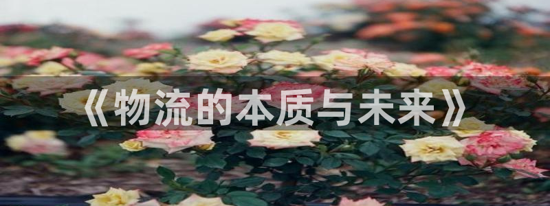 28圈昵称：《物流的本质与未来》