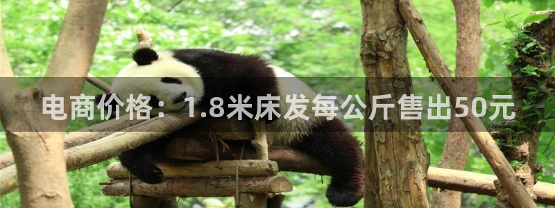 28圈在线预测官网