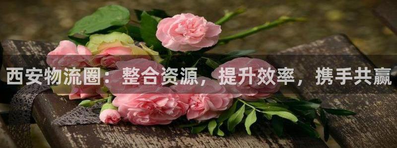 28圈注册教程：西安物流圈：整合资源