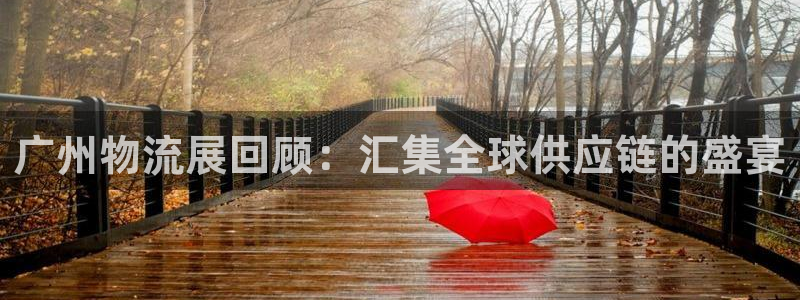 28圈.ccm正版