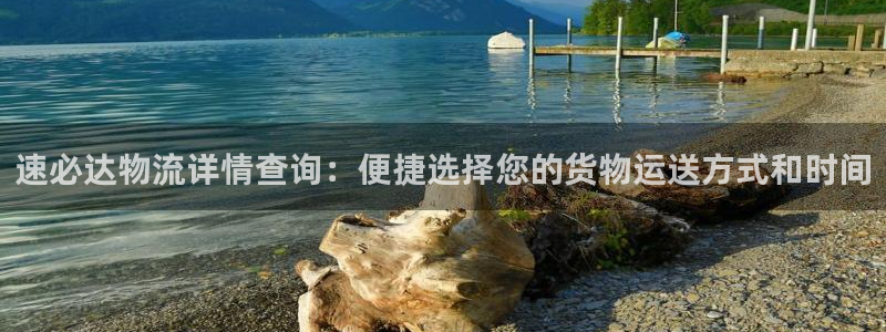 加拿大28圈是什么：速必达物流详情查询：便捷选择您的货物运送