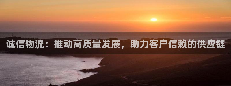 28圈技巧：诚信物流：推动高质量发展，助力客户信赖的供应链